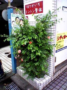 K3340011