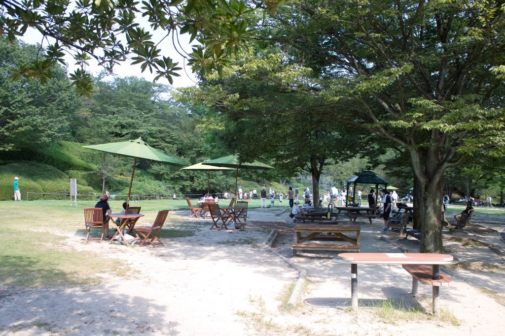 広島市植物公園　水遊び広場　別角度